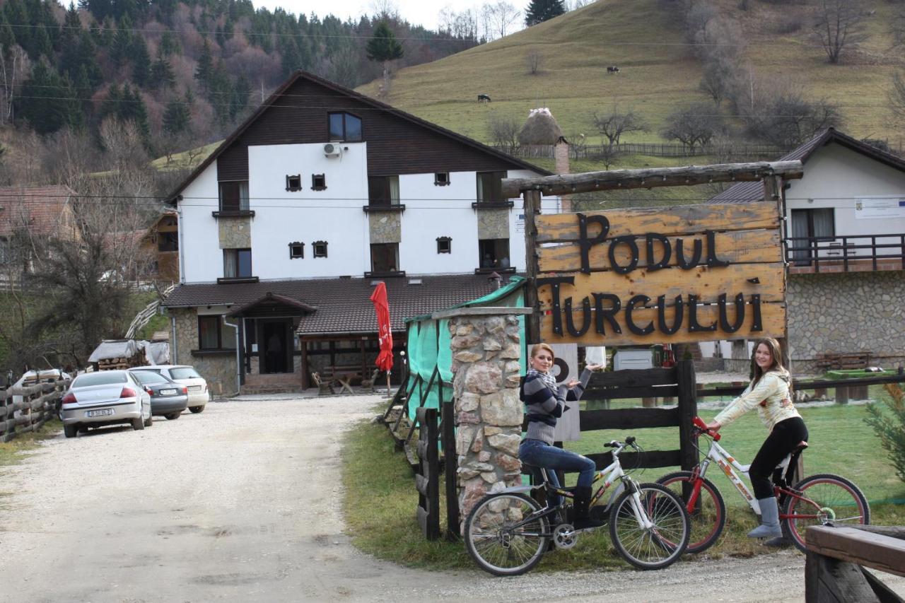 Pension Podul Turcului Moieciu de Jos Exterior foto